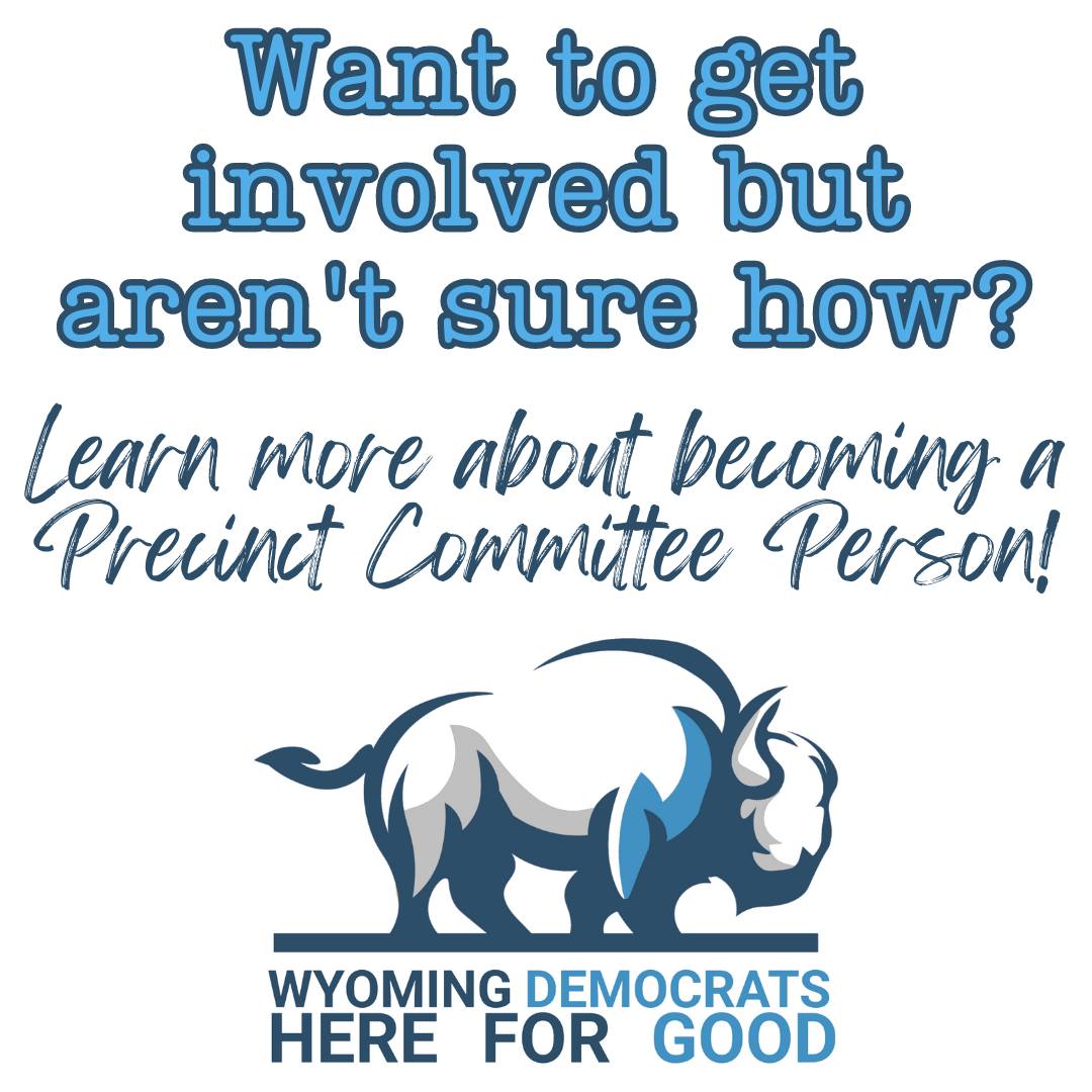 a Precinct Committee Person Sheridan County Democratic Party